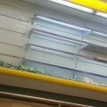 на оккупированном полуострове совсем туго с молочными продуктами