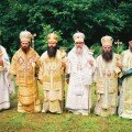 Importozameshhenie v Rossii usiljat molitvami
