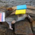 Судьба российского оккупанта