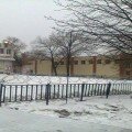 Boeviki DNR obnesli sebja koljuchej provolokoj