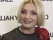 Lajma Vajkule