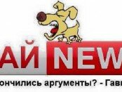 LifeNews